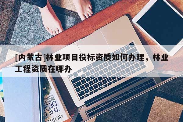 [内蒙古]林业项目投标资质如何办理，林业工程资质在哪办