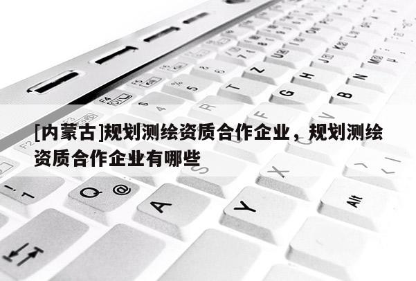 [内蒙古]规划测绘资质合作企业，规划测绘资质合作企业有哪些