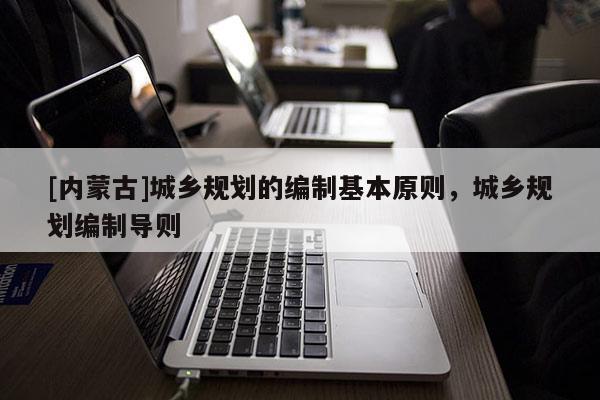[内蒙古]城乡规划的编制基本原则，城乡规划编制导则