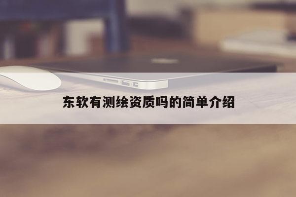 东软有测绘资质吗的简单介绍