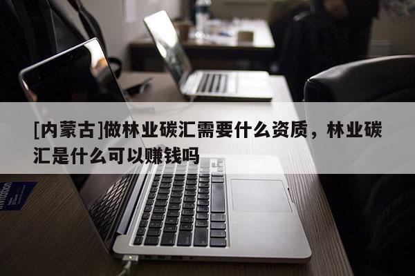 [内蒙古]做林业碳汇需要什么资质，林业碳汇是什么可以赚钱吗