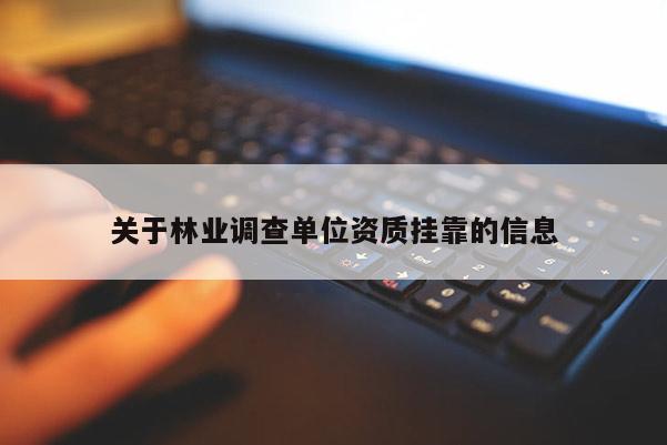关于林业调查单位资质挂靠的信息