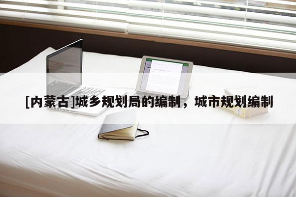 [内蒙古]城乡规划局的编制，城市规划编制
