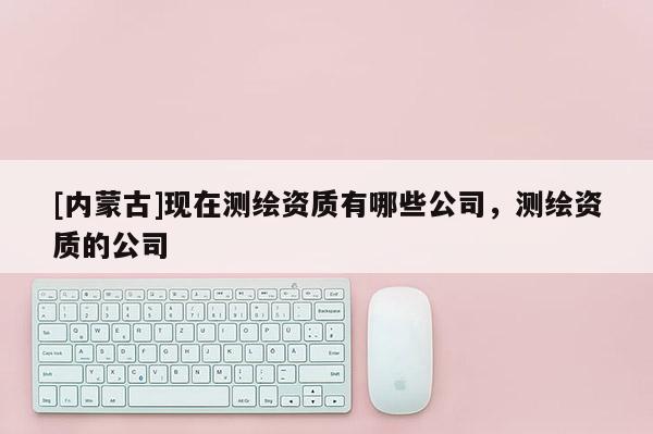 [内蒙古]现在测绘资质有哪些公司，测绘资质的公司