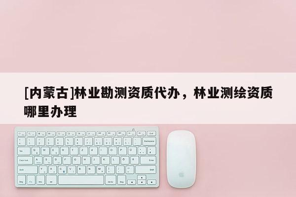 [内蒙古]林业勘测资质代办，林业测绘资质哪里办理