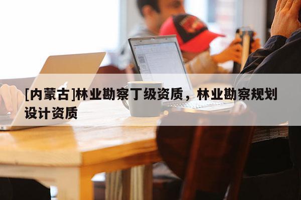 [内蒙古]林业勘察丁级资质，林业勘察规划设计资质
