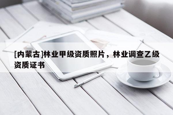 [内蒙古]林业甲级资质照片，林业调查乙级资质证书
