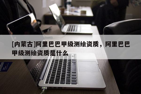 [内蒙古]阿里巴巴甲级测绘资质，阿里巴巴甲级测绘资质是什么