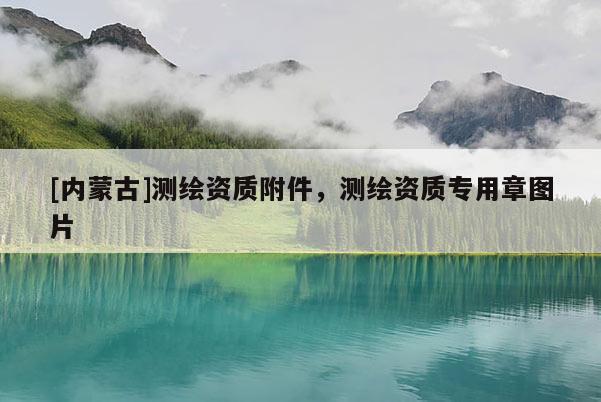 [内蒙古]测绘资质附件，测绘资质专用章图片