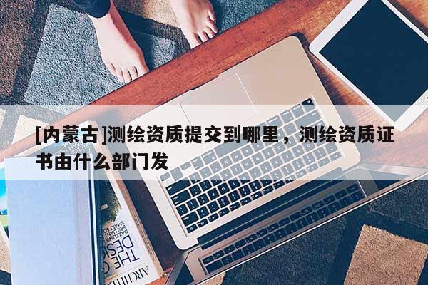 [内蒙古]测绘资质提交到哪里，测绘资质证书由什么部门发