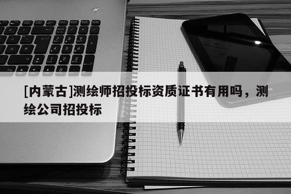 [内蒙古]测绘师招投标资质证书有用吗，测绘公司招投标
