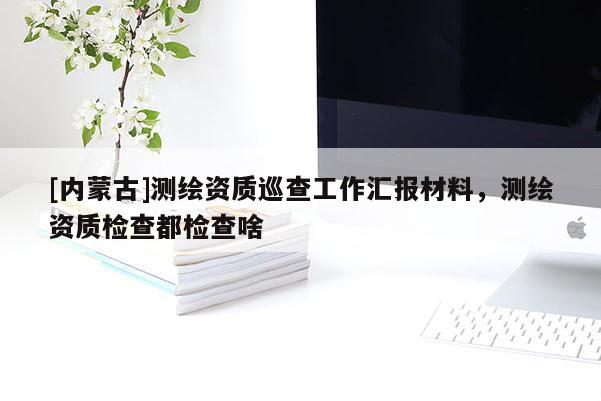 [内蒙古]测绘资质巡查工作汇报材料，测绘资质检查都检查啥