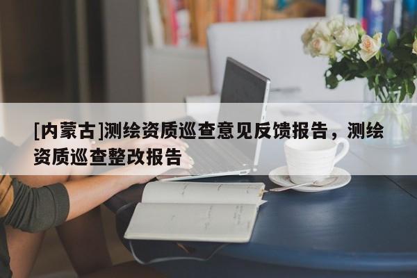[内蒙古]测绘资质巡查意见反馈报告，测绘资质巡查整改报告