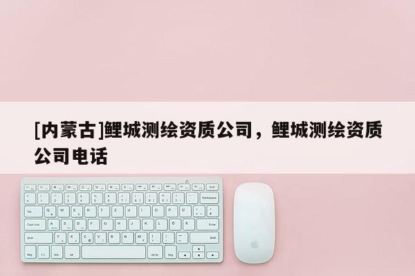 [内蒙古]鲤城测绘资质公司，鲤城测绘资质公司电话