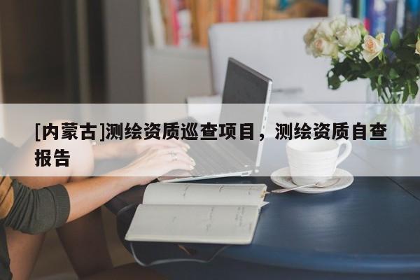 [内蒙古]测绘资质巡查项目，测绘资质自查报告