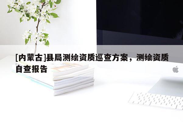 [内蒙古]县局测绘资质巡查方案，测绘资质自查报告