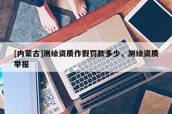 [内蒙古]测绘资质作假罚款多少，测绘资质举报