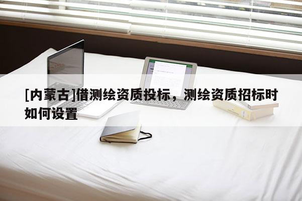 [内蒙古]借测绘资质投标，测绘资质招标时如何设置