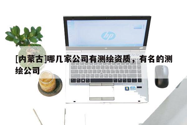 [内蒙古]哪几家公司有测绘资质，有名的测绘公司
