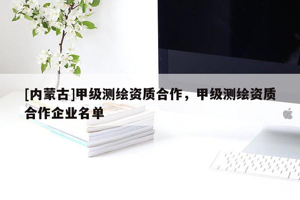 [内蒙古]甲级测绘资质合作，甲级测绘资质合作企业名单