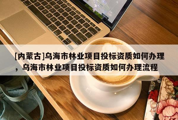 [内蒙古]乌海市林业项目投标资质如何办理，乌海市林业项目投标资质如何办理流程